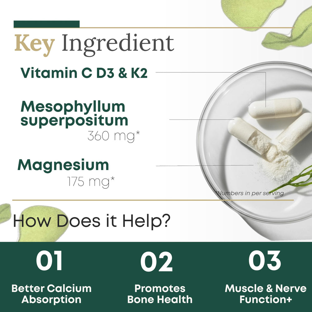 Graphic showing magnesium-calcium balance in algae calcium formula