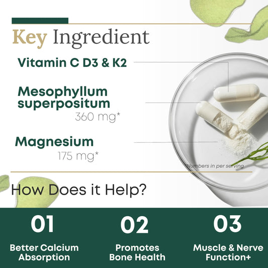 Graphic showing magnesium-calcium balance in algae calcium formula
