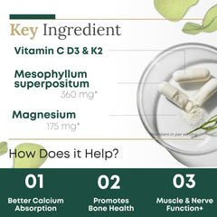 Graphic showing magnesium-calcium balance in algae calcium formula