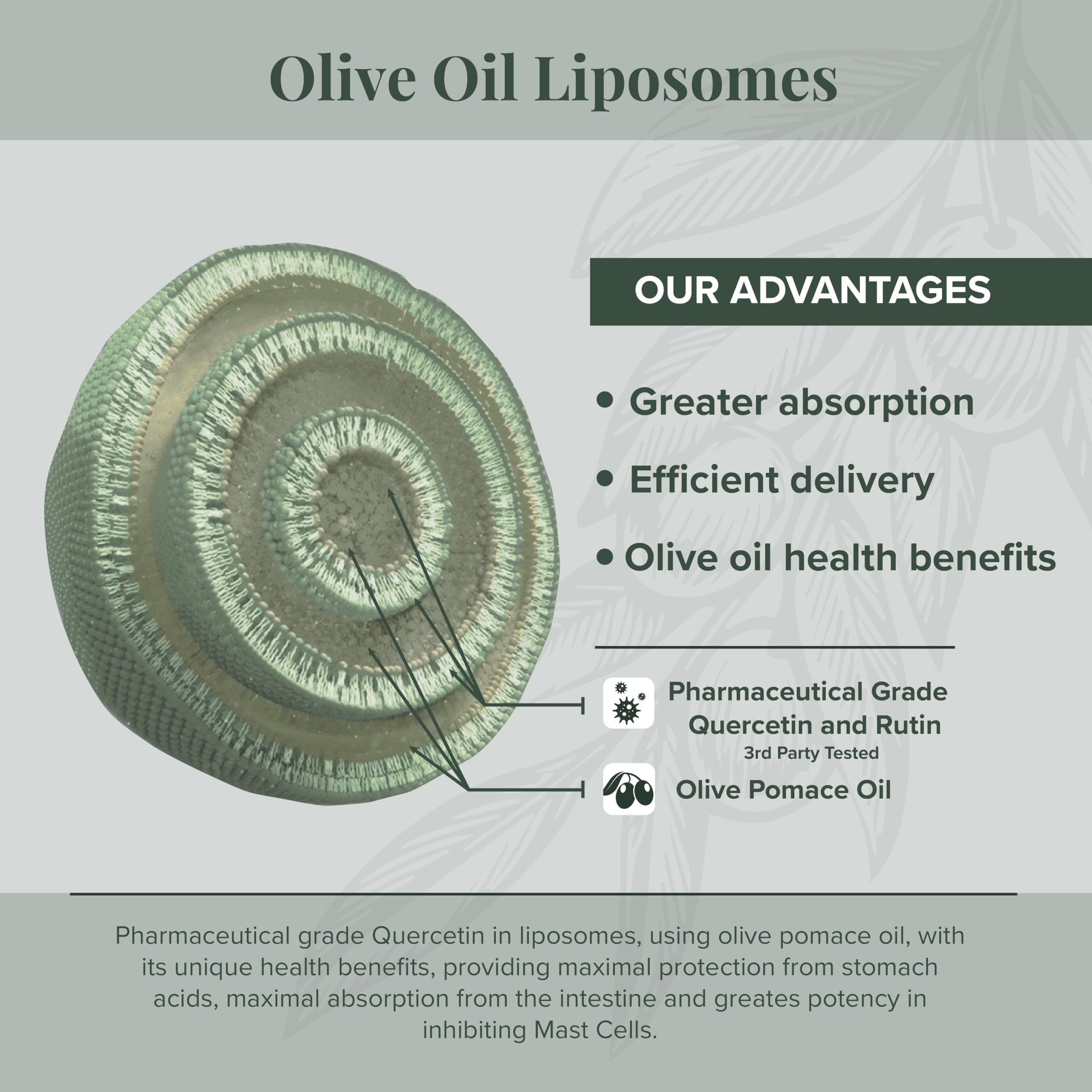 Algonot CystoProtek ingredients highlight flavonoids for natural support.