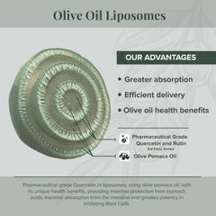Algonot CystoProtek ingredients highlight flavonoids for natural support.