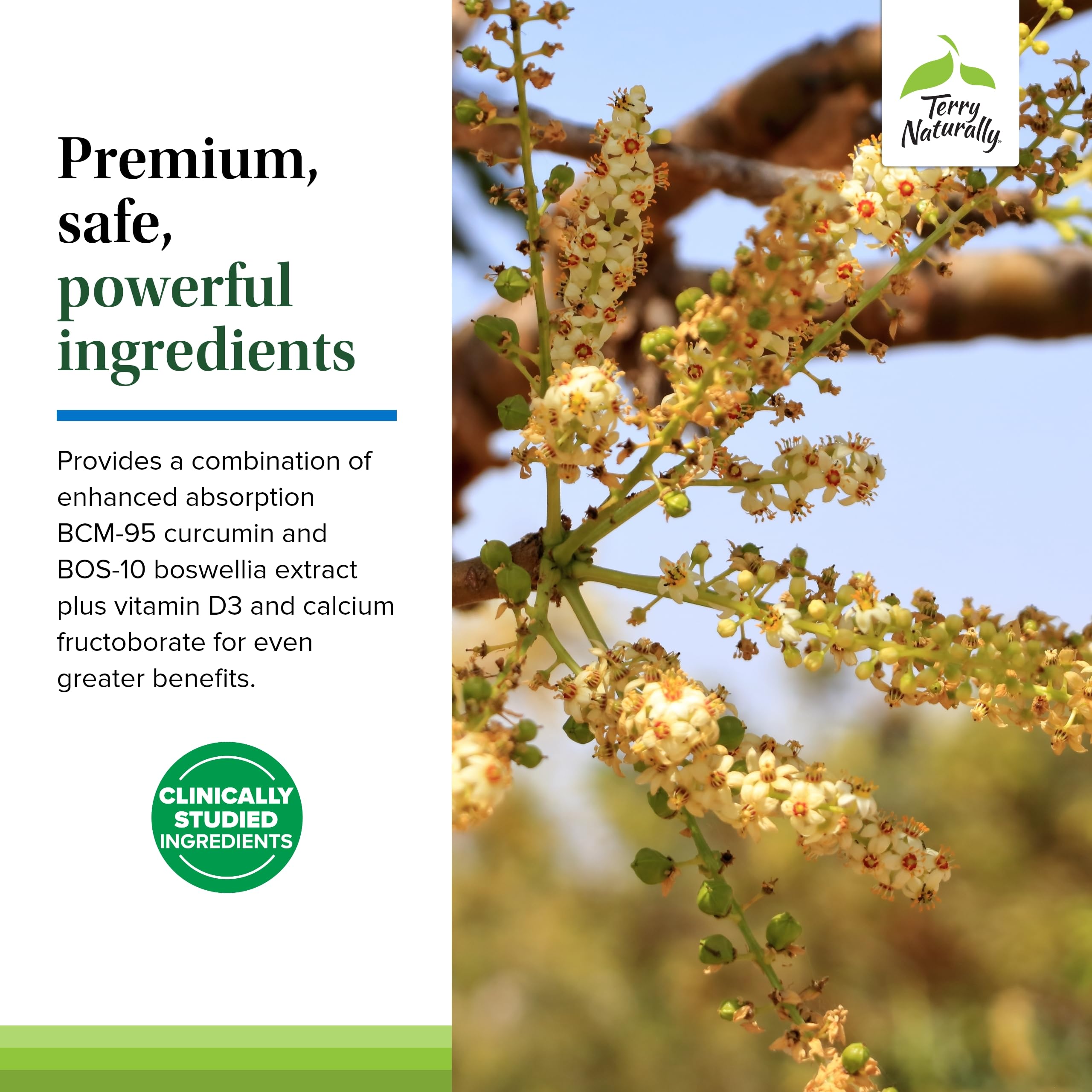 Allergen-friendly non-GMO dietary supplement icons