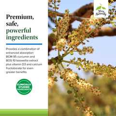 Allergen-friendly non-GMO dietary supplement icons
