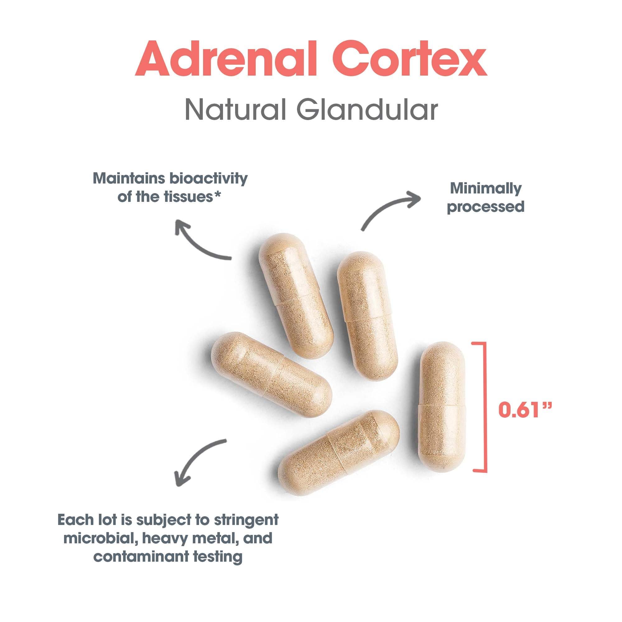 Supplement facts panel for Adrenal Cortex Support