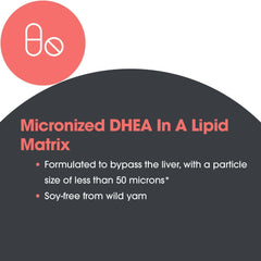 DHEA tablets in lipid matrix for optimized absorption