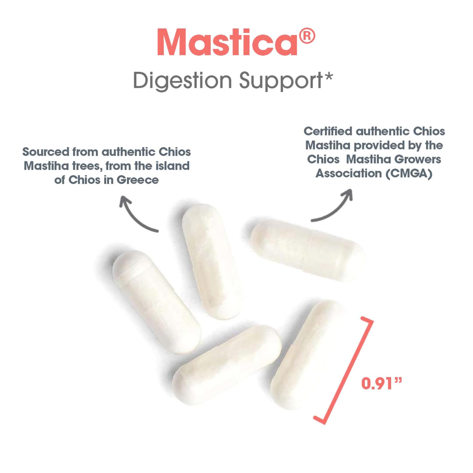 Allergy Research Group Mastica dietary-use capsule image for daily routine