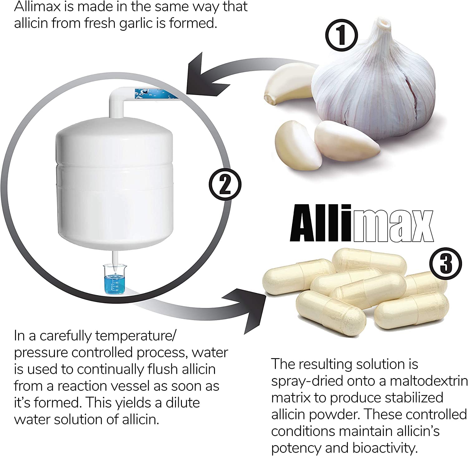 ALLIMAX dissolves in the stomach for absorption