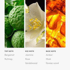 Bergamot and Nutmeg top notes visualization for Allure