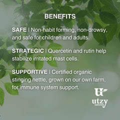 Illustration of histamine support components in Allurtica