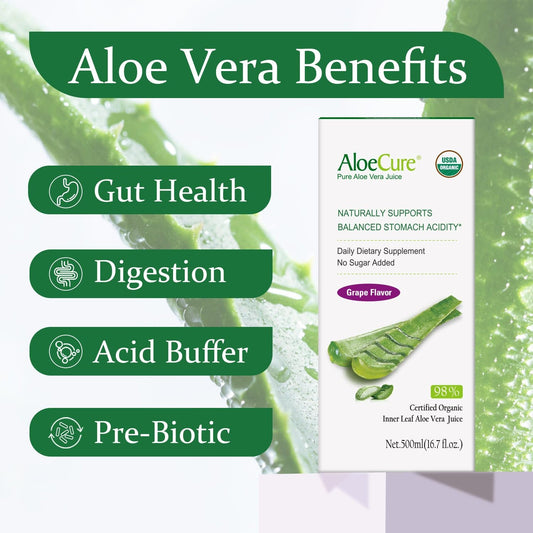 Close-up of 98% inner-gel aloe vera used in AloeCure juice