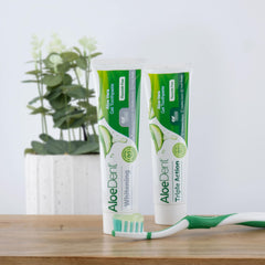 Illustration of Aloe Vera and silica ingredients for Aloe Dent toothpaste