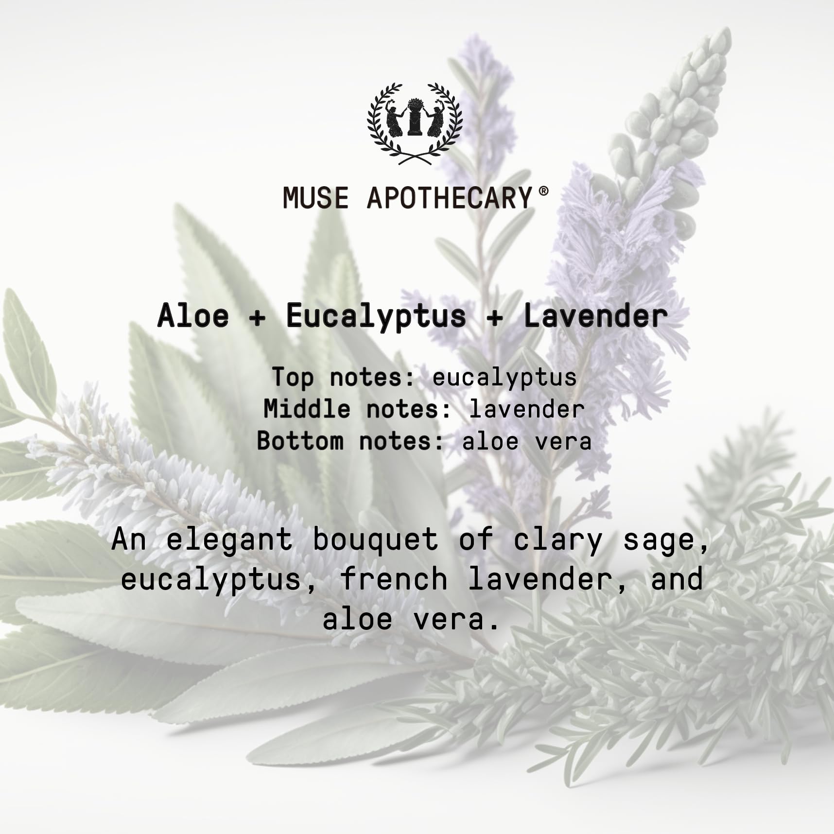 Aloe, eucalyptus and lavender room mist ingredients close-up