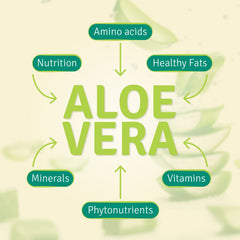 Close-up of Aloe Life 16 oz bottle showing the Aloe Gold label