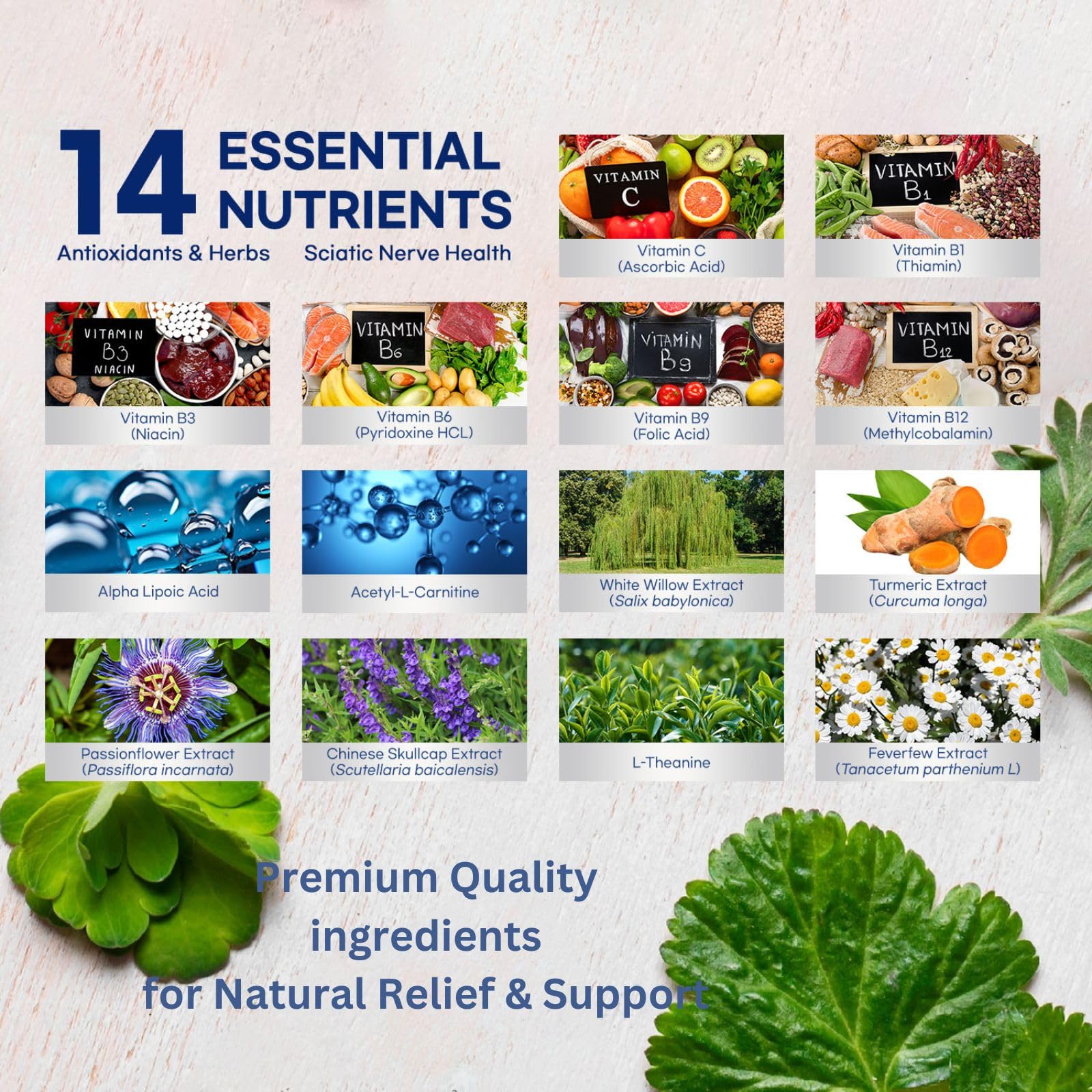 Representation of alpha lipoic acid turmeric and herbal blends