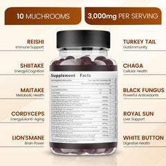 Adaptogenic excellence with Reishi and Cordyceps
