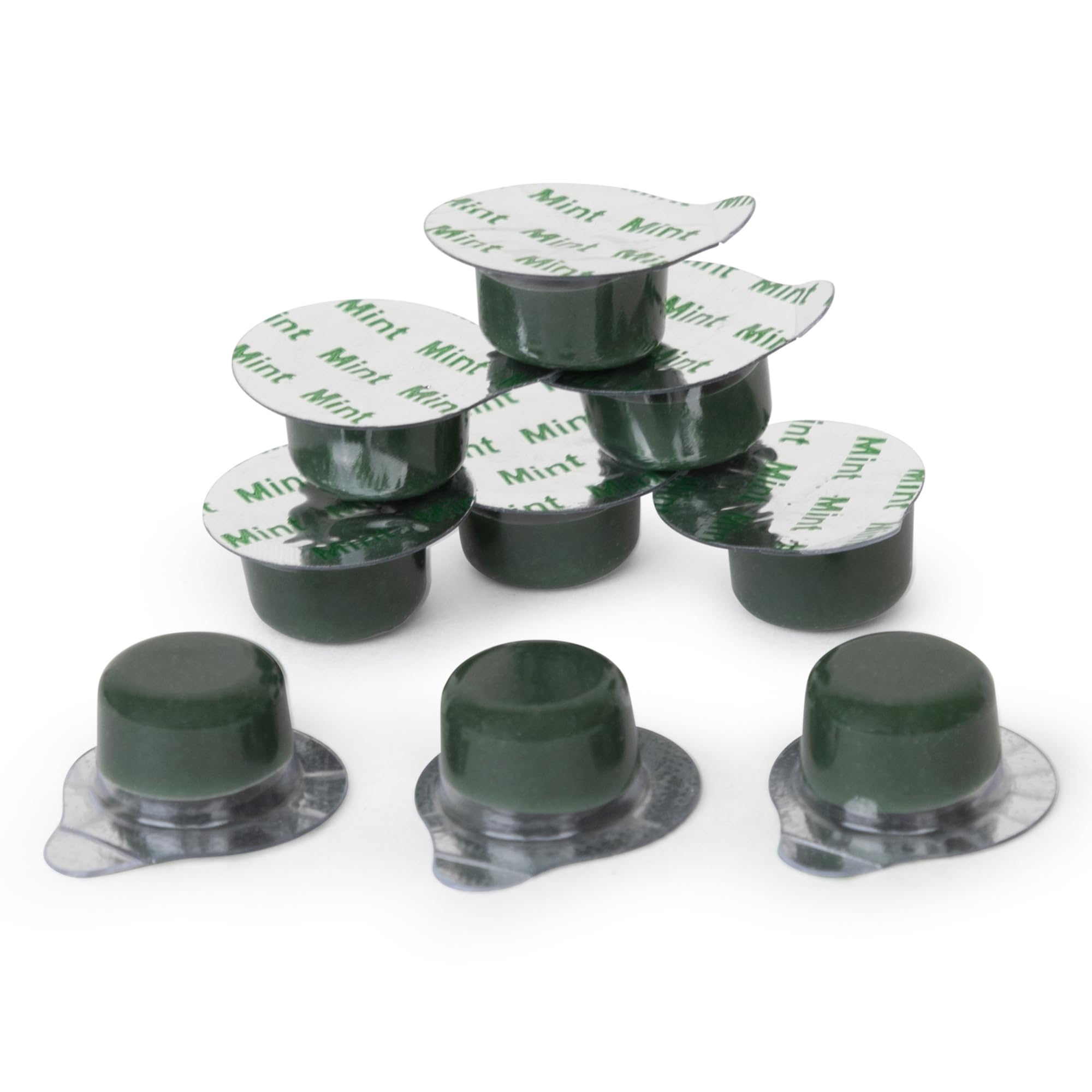 Box and Tub of Alpine BLANC Tooth Polish Non Splatter Formula Mint Flavored Coarse Grit Pack of 50