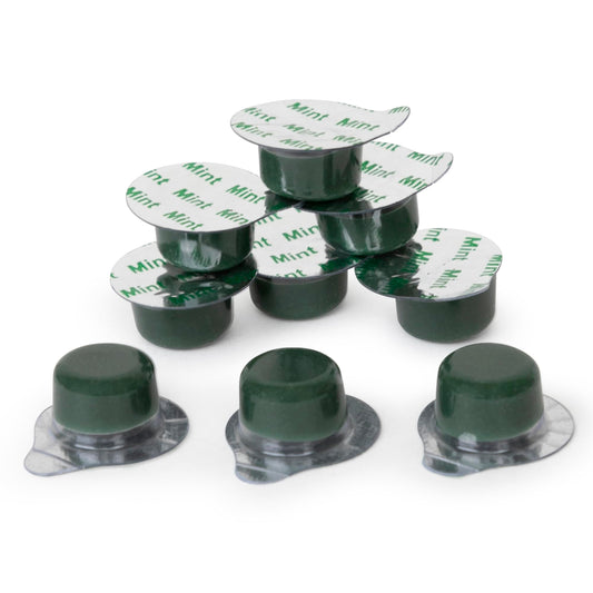 Box and Tub of Alpine BLANC Tooth Polish Non Splatter Formula Mint Flavored Coarse Grit Pack of 50