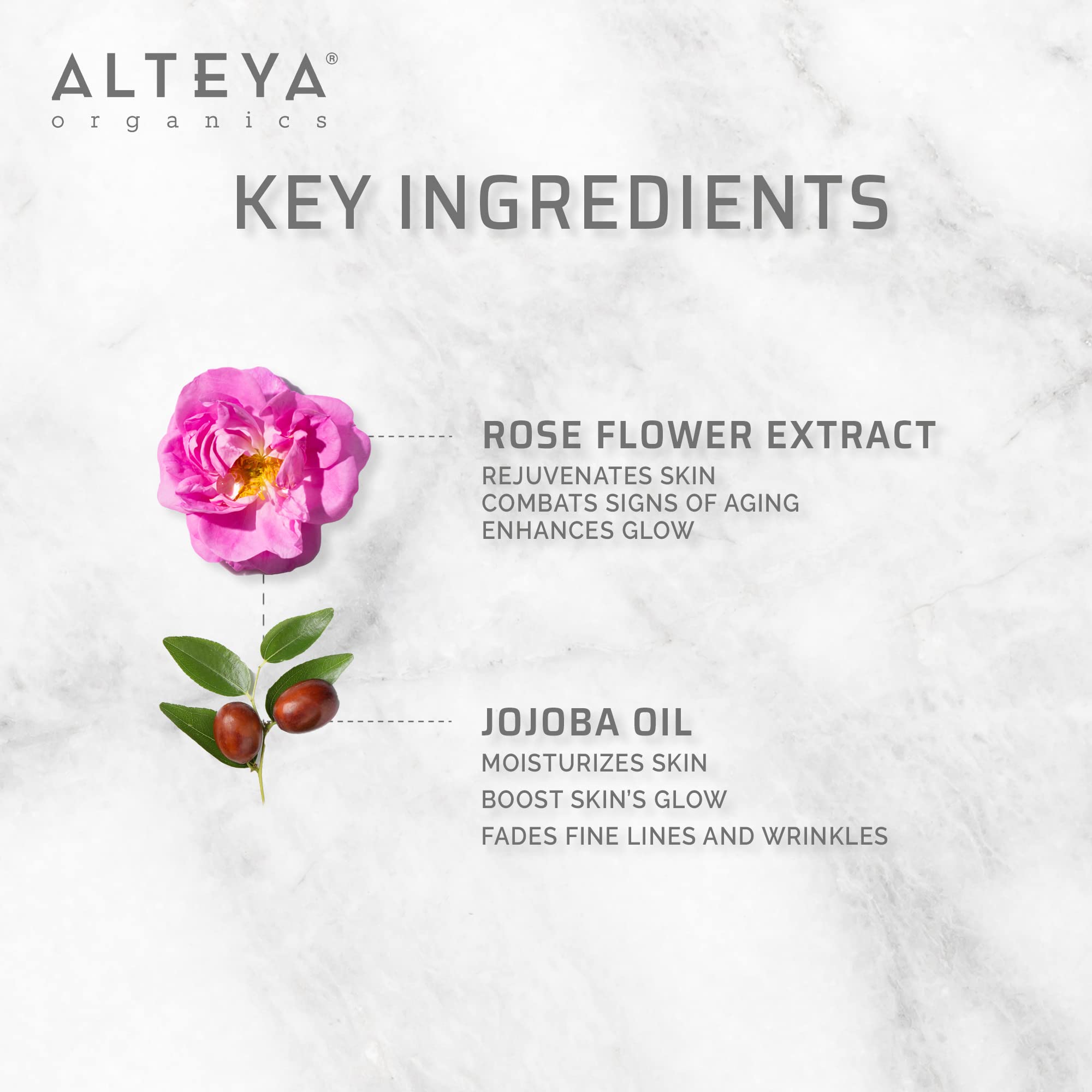 Rose absolute oil with rose petals background