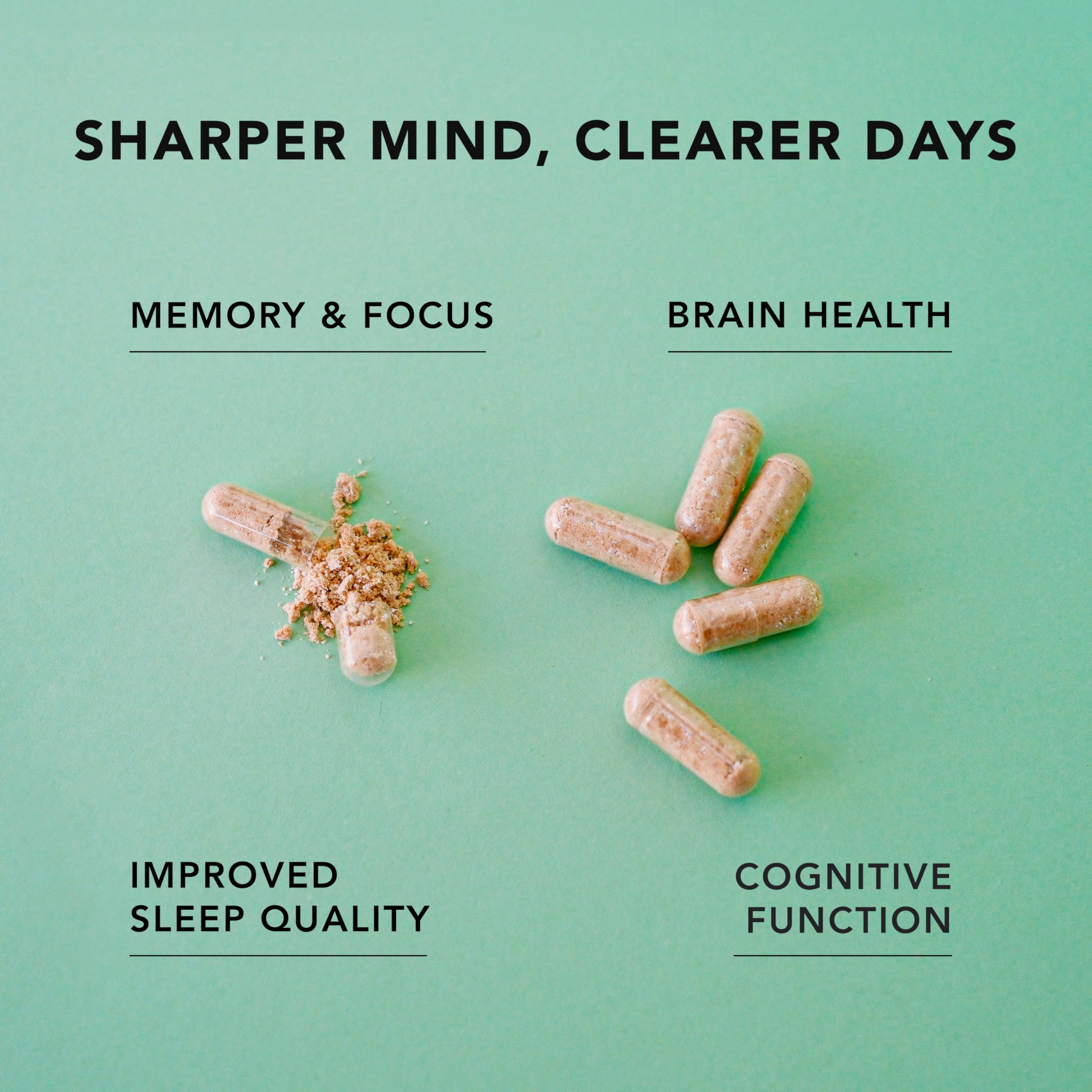 Lions Mane mushroom extract used in AMANDEAN Brain Supplement