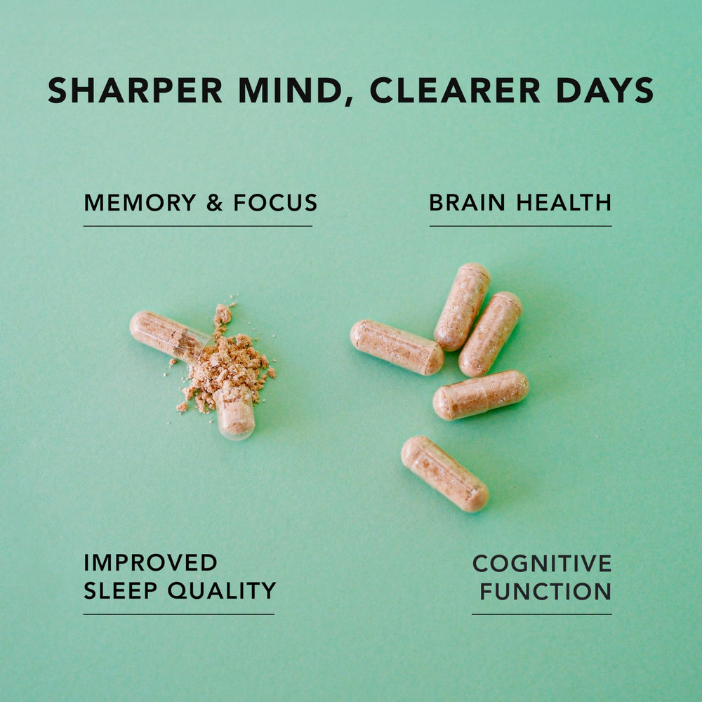 Lions Mane mushroom extract used in AMANDEAN Brain Supplement