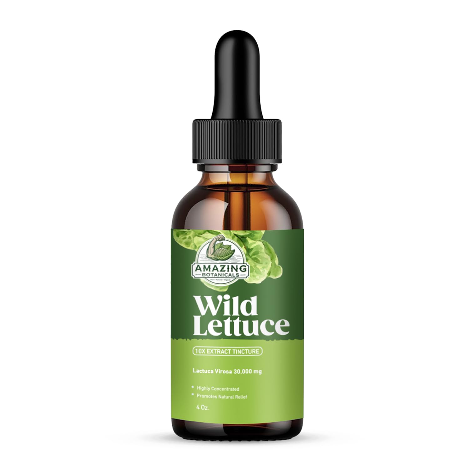 Bottle of Amazing Botanicals Wild Lettuce Tincture in amber glass, 4 oz