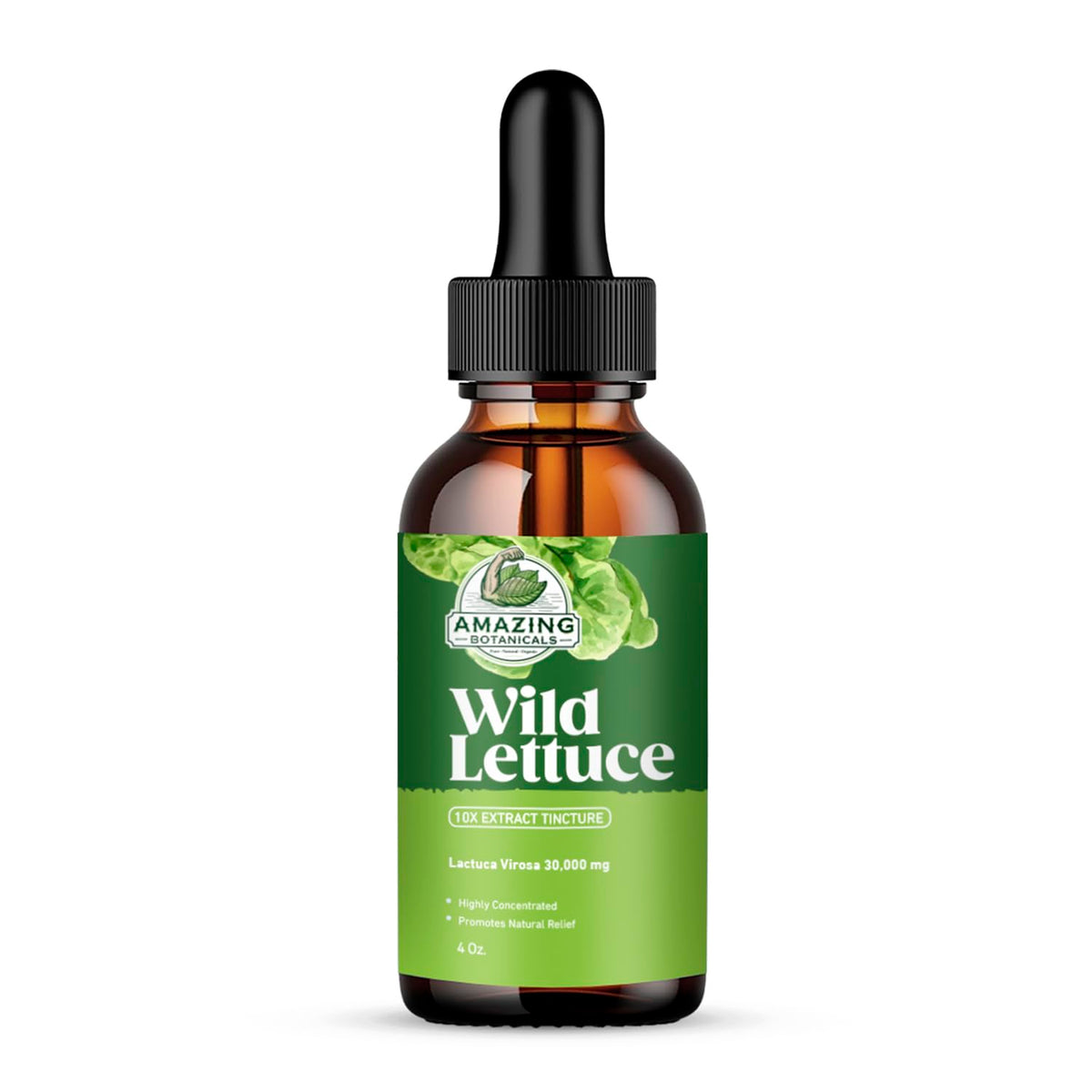 Bottle of Amazing Botanicals Wild Lettuce Tincture in amber glass, 4 oz