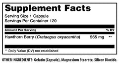 GMP compliance statement on bottle packaging