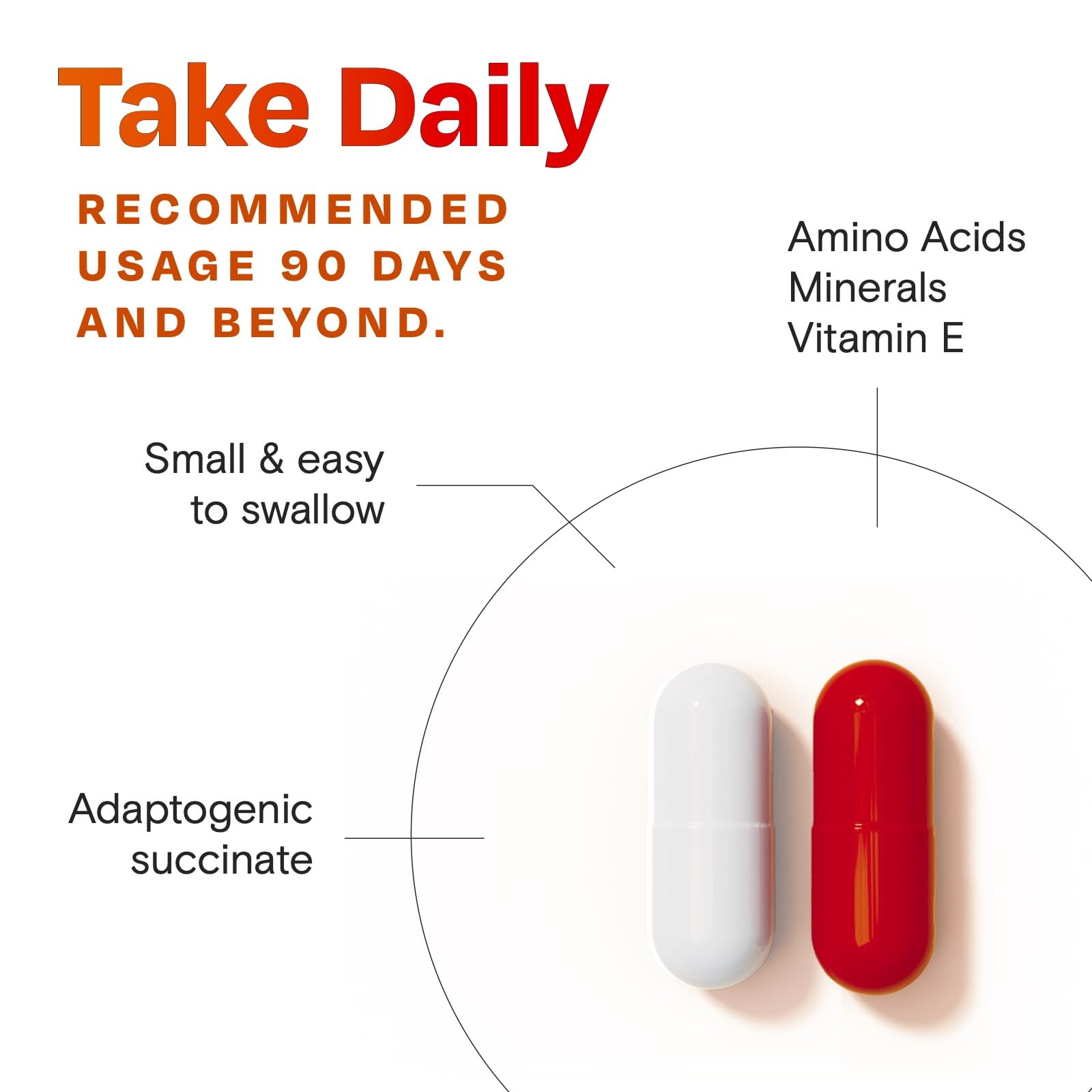 Amberen energy-boost daily use promotes daytime vitality and focus
