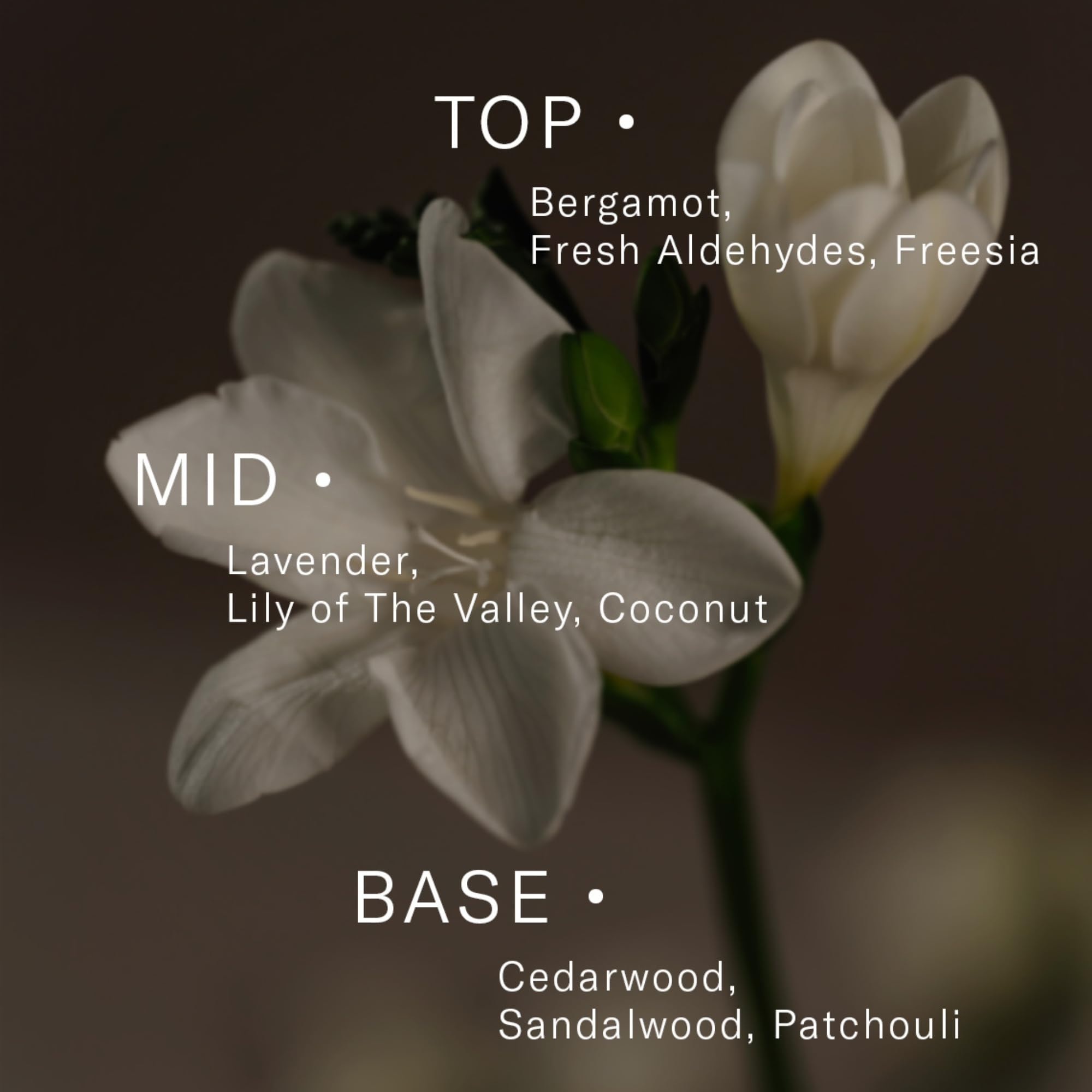 AromaTech Ambience Diffuser packaging box