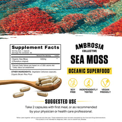 Ambrosia Sea Moss Capsules 500 mg serving close-up