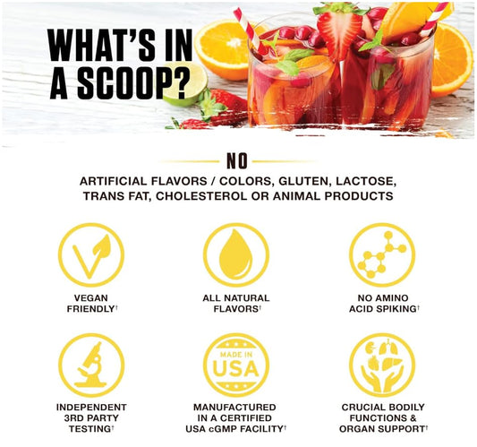 Close-up of Nektar's 13 superfood blend ingredients