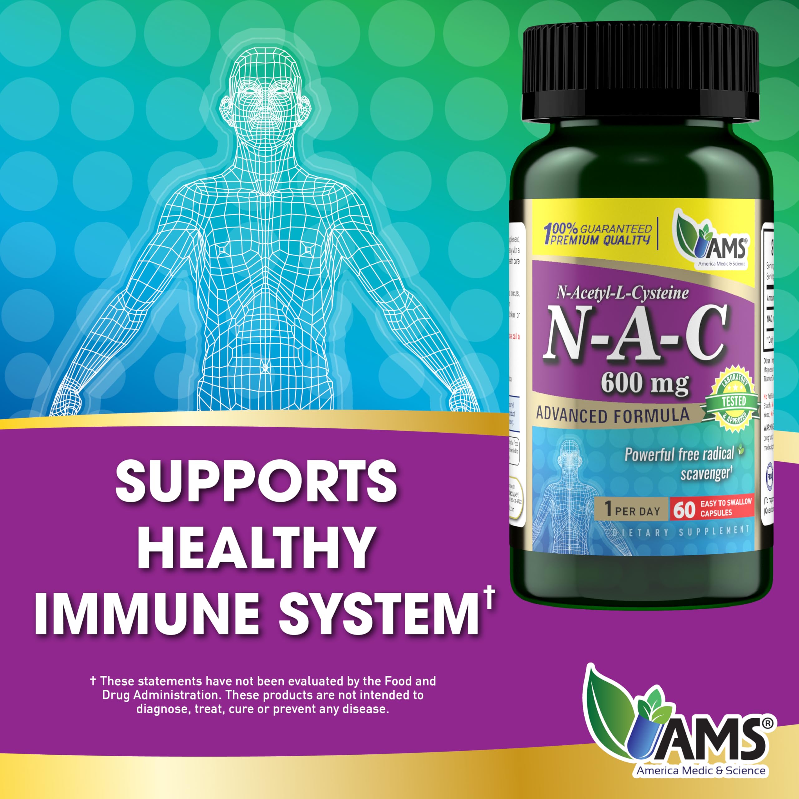 Graphic illustrating NAC supporting liver and immune health