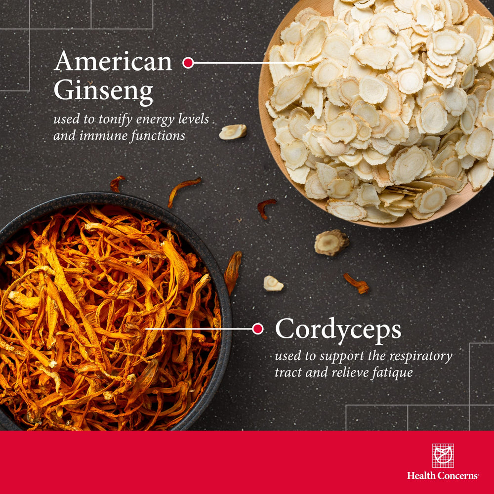 Ginseng, licorice root and ginger rhizome ingredients illustration
