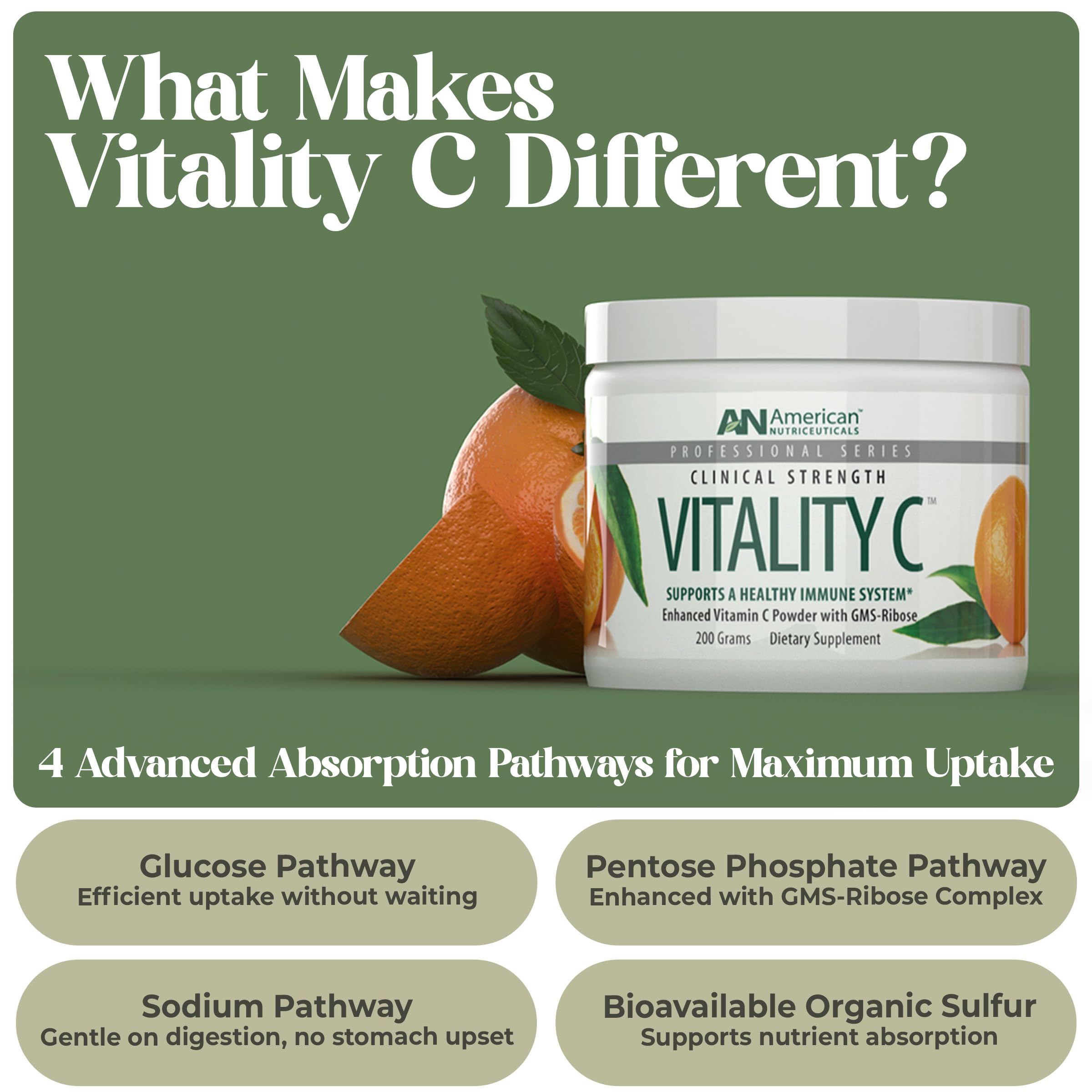 Scoop of Vitamin C powder measuring a 4000mg serving