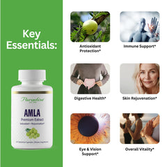 Illustration of Amla fruit extract delivering 250 mg per capsule