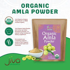 Amla powder rich in vitamin C