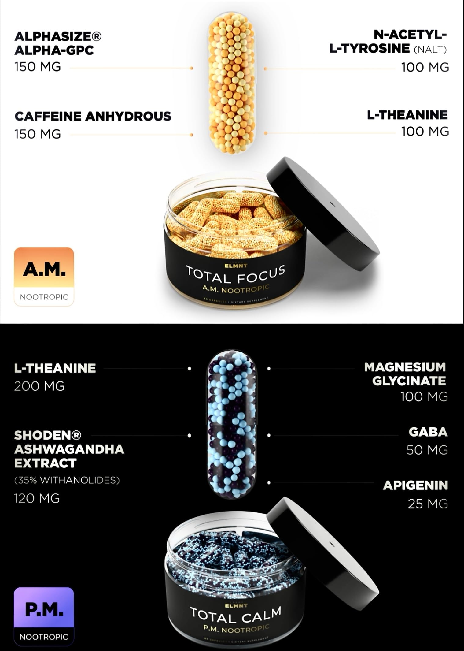 L-Theanine and N-Acetyl-L-Tyrosine ingredients in AMPM