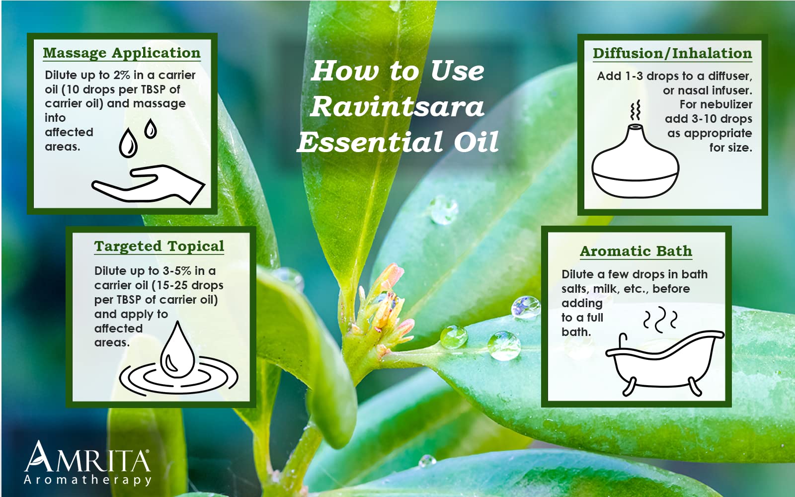 Close-up of Ravintsara essential oil bottle with dropper