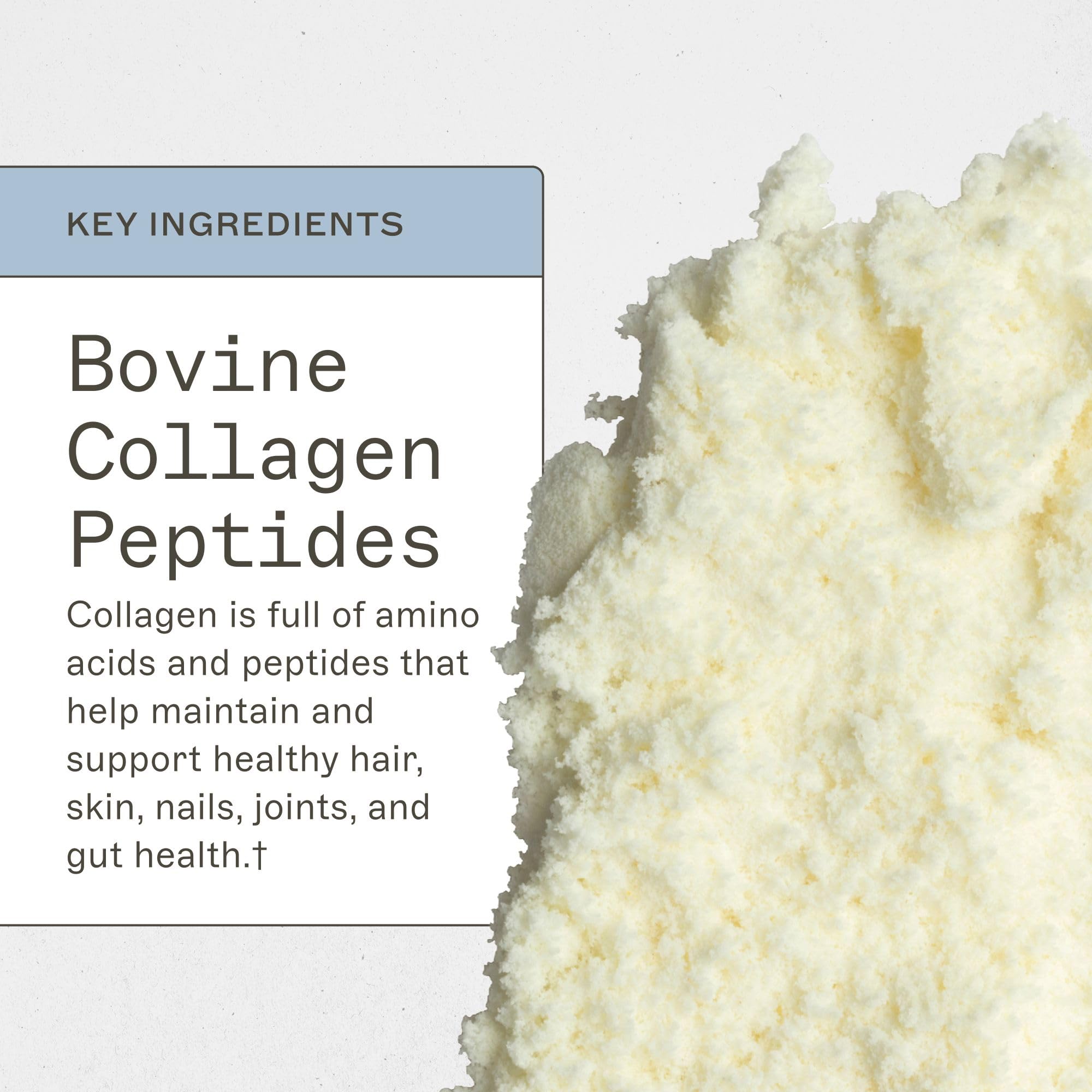 Amy Myers MD collagen powder label; highlights grass-fed origins and types I and III.