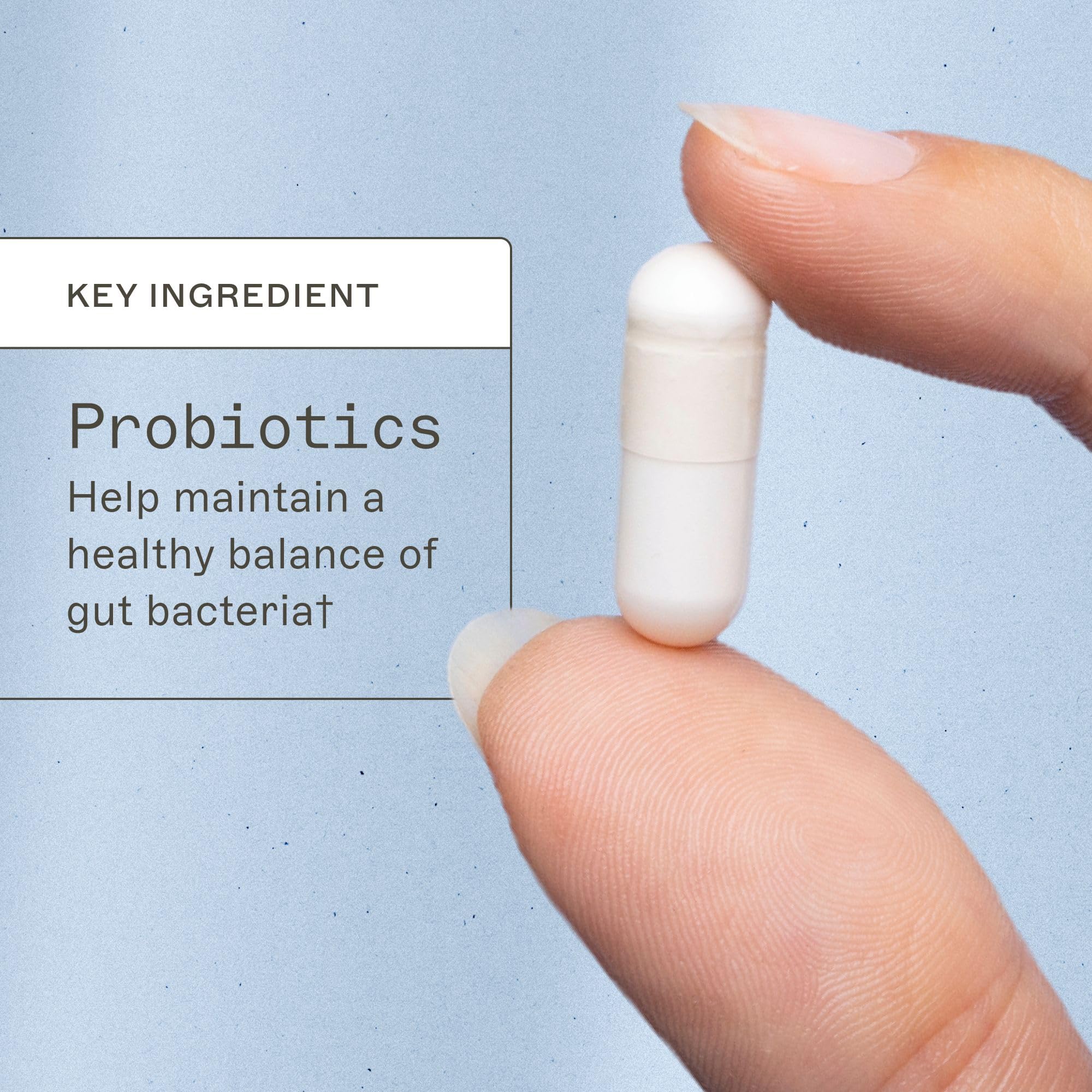 Illustration showing 14 probiotic strains