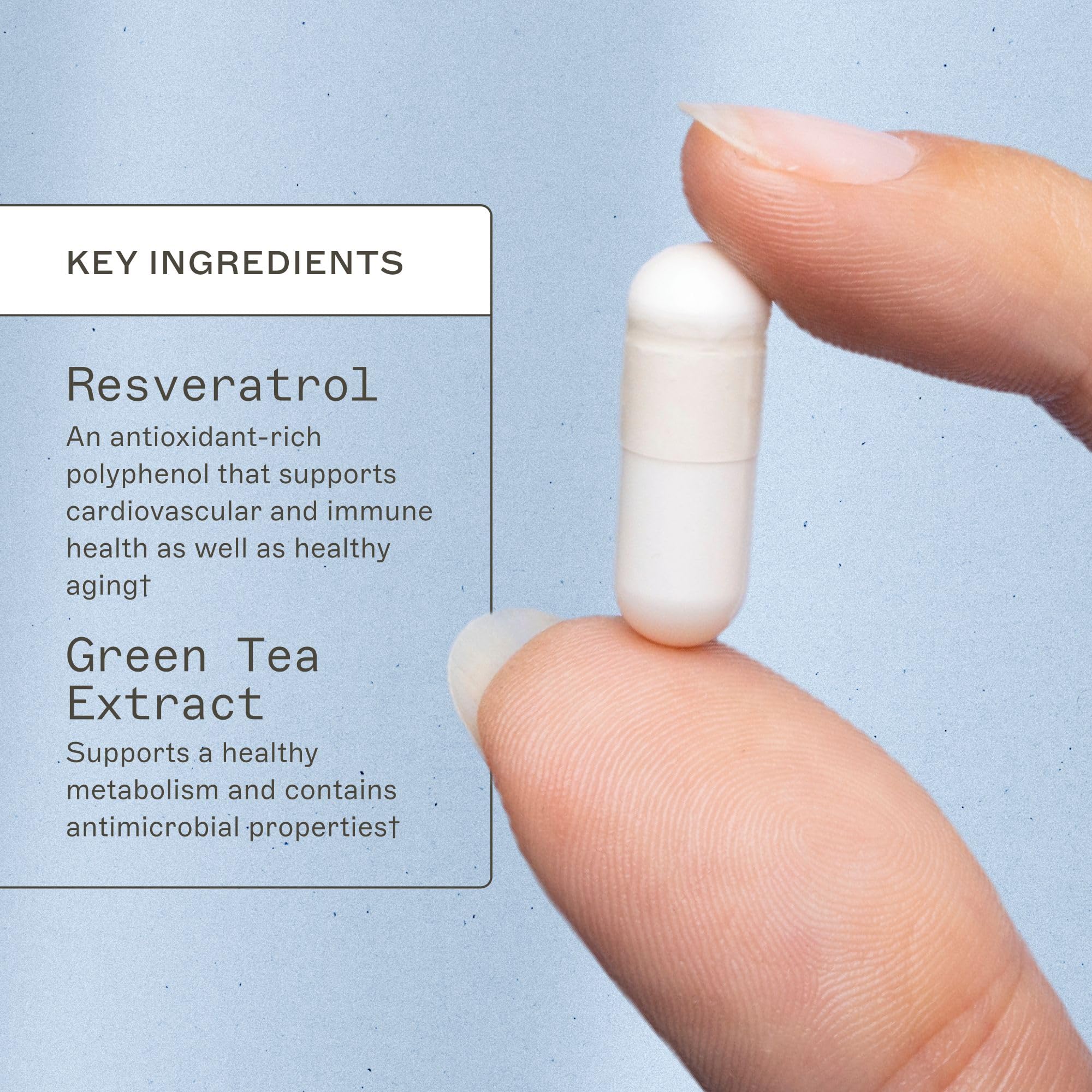 Two-pack bottle set highlighting value and convenience.