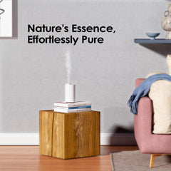 AN6 Green Lily diffuser in home office setting