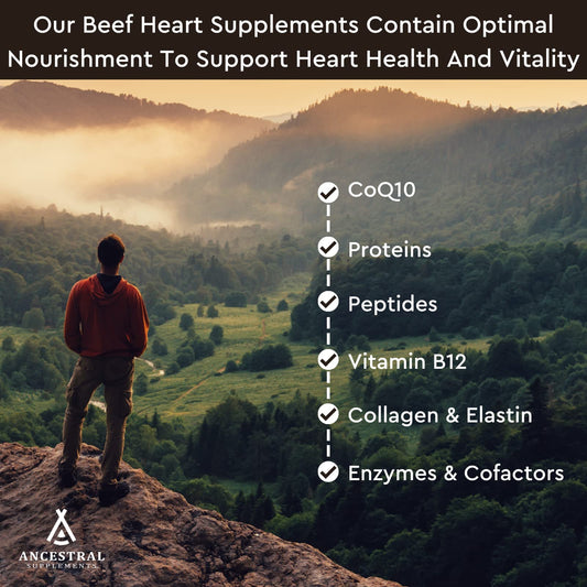 Close-up of beef heart capsules showing CoQ10 support