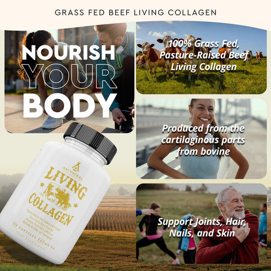 Living Collagen ingredients derived from grass-fed beef cartilage