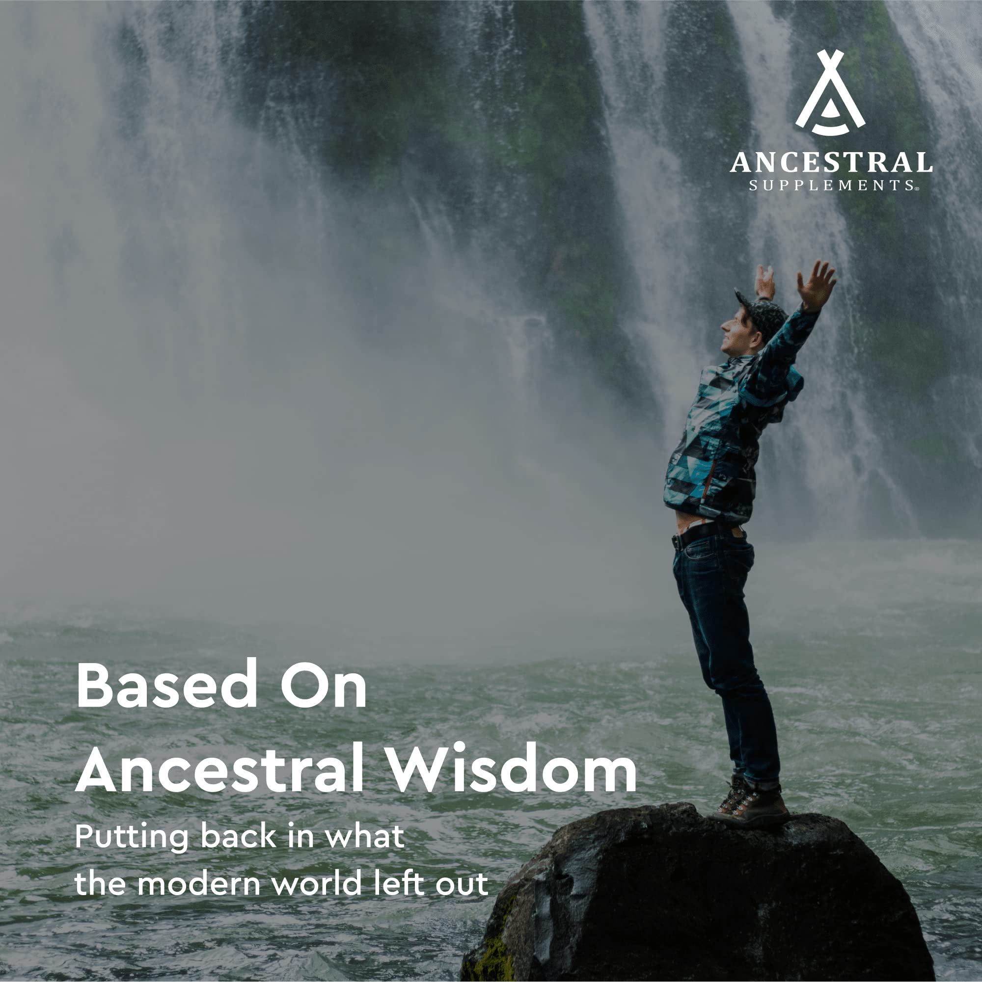 Ancestral Supplements 180 capsules pack on shelf for convenient use.