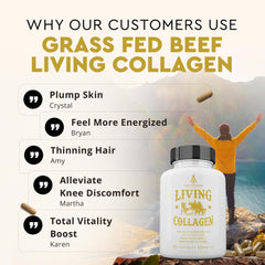 Ancestral Supplements Living Collagen capsules arranged for daily use and potential skin, hair, nails support.