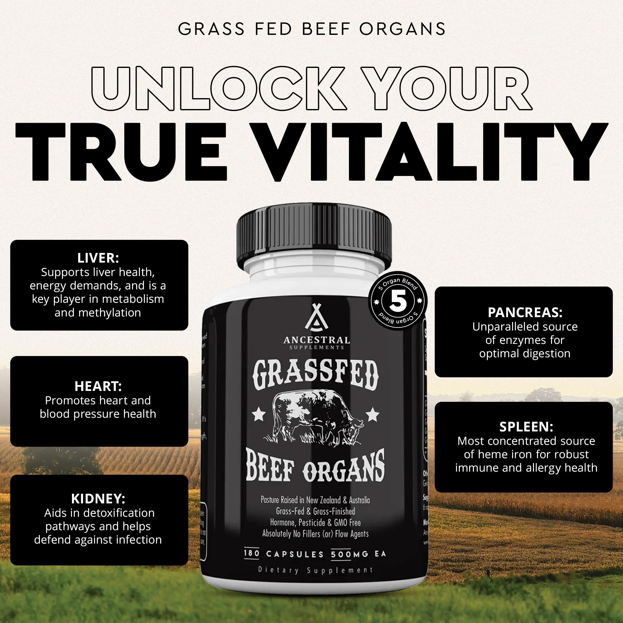 Liver capsule highlighting grass-fed beef liver component (600mg per serving)