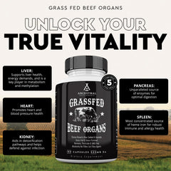 Liver capsule highlighting grass-fed beef liver component (600mg per serving)