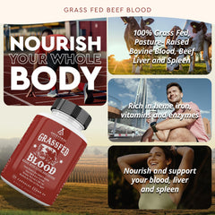 Close-up of grass-fed beef liver, blood and spleen nutrients