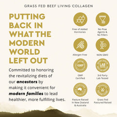 Ancestral Supplements Beef Living Collagen packaging on shelf suggests a trusted daily routine.